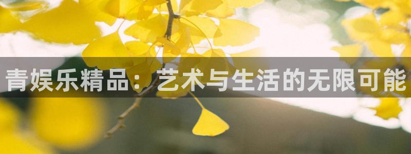 先锋娱乐公司：青娱乐精品：艺术与生活的无限可能