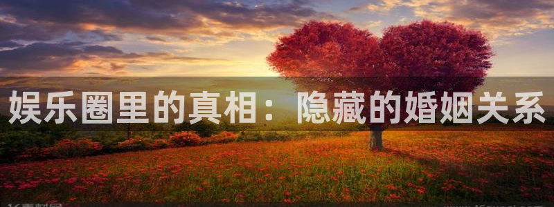 先锋娱乐公司：娱乐圈里的真相：隐藏的婚姻关系