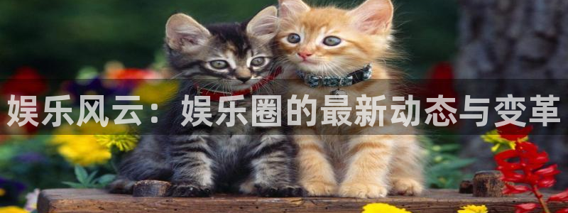 先锋娱乐平台：娱乐风云：娱乐圈的最新动态与变革