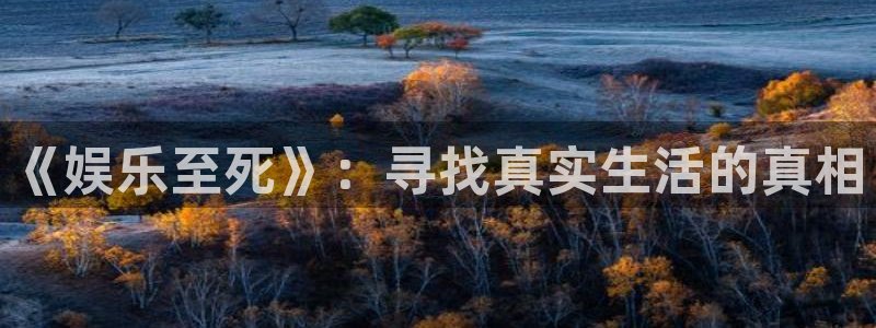 先锋娱乐平台：《娱乐至死》：寻找真实生活的真相