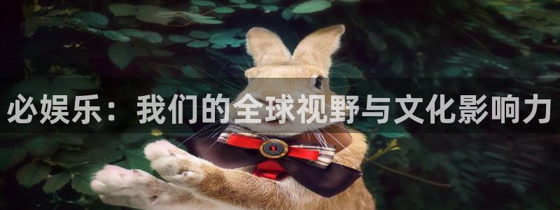 先锋娱乐公司：必娱乐：我们的全球视野与文化影响力