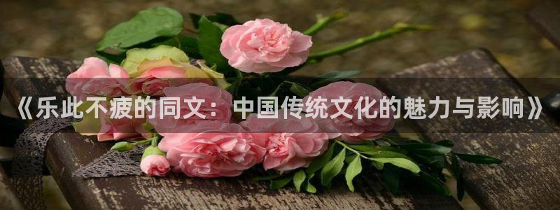先锋娱乐平台：《乐此不疲的同文：中国传统文化的魅力与影响》