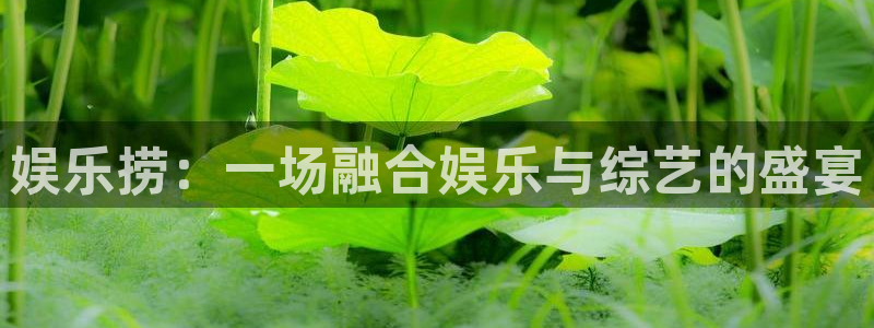 先锋娱乐公司：娱乐捞：一场融合娱乐与综艺的盛宴