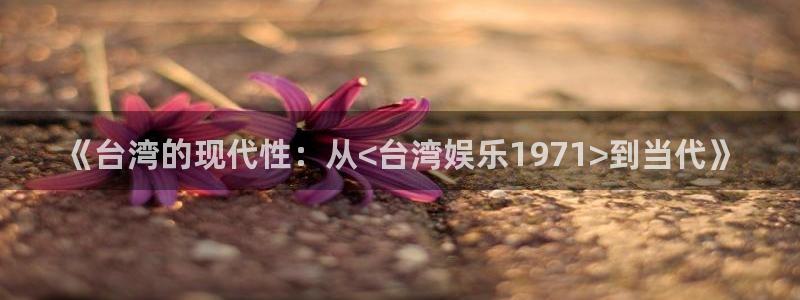 先锋娱乐公司