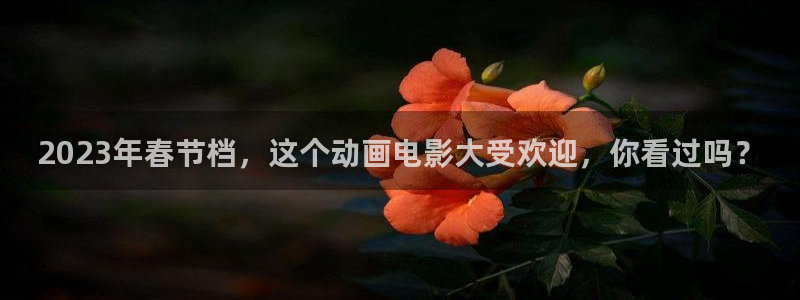 先锋娱乐平台：2023年春节档，这个动画电影大受欢迎，你看过吗？