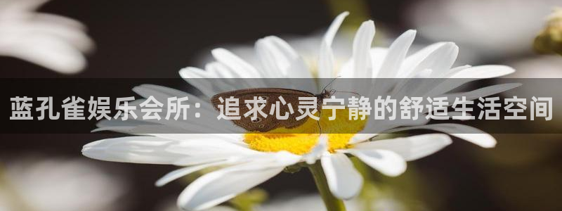 先锋娱乐平台：蓝孔雀娱乐会所：追求心灵宁静的舒适生活空间