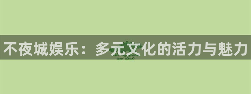 先锋娱乐平台：不夜城娱乐：多元文化的活力与魅力
