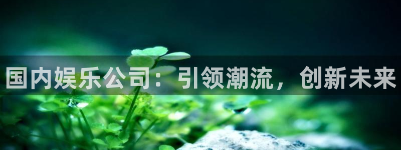 先锋娱乐平台：国内娱乐公司：引领潮流，创新未来