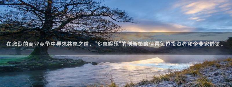 先锋娱乐公司：在激烈的商业竞争中寻求共赢之道，\