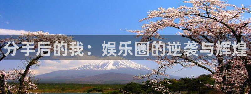 先锋娱乐公司：分手后的我：娱乐圈的逆袭与辉煌