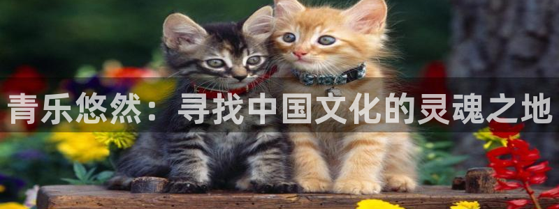 先锋娱乐公司：青乐悠然：寻找中国文化的灵魂之地