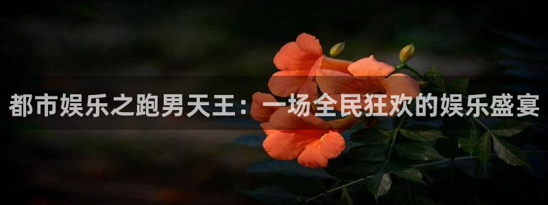 先锋娱乐公司：都市娱乐之跑男天王：一场全民狂欢的娱乐盛宴