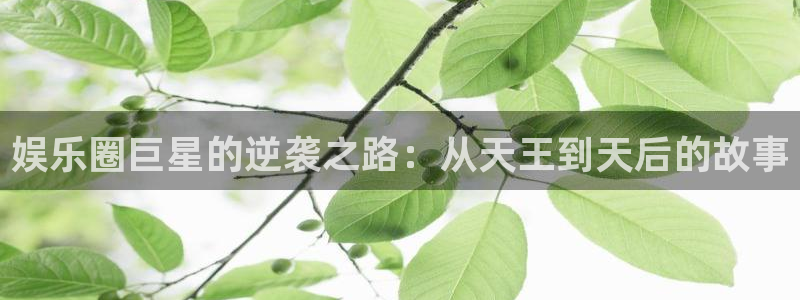 先锋娱乐平台：娱乐圈巨星的逆袭之路：从天王到天后的故事