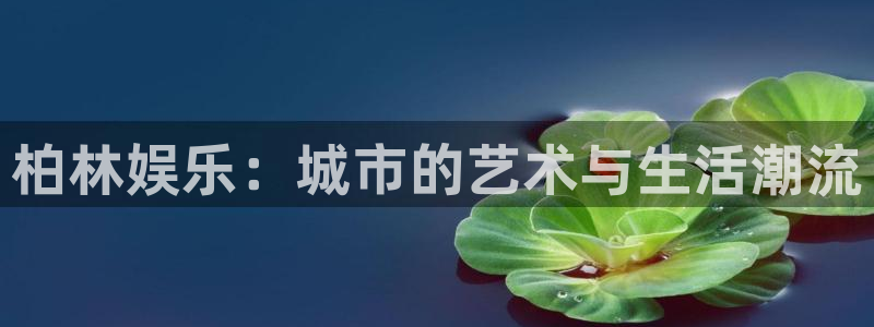 先锋娱乐平台：柏林娱乐：城市的艺术与生活潮流