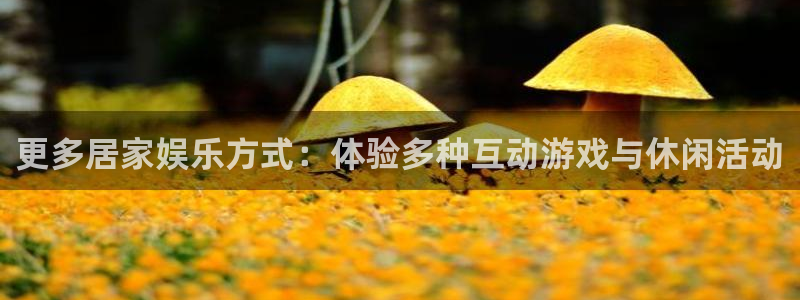 先锋娱乐平台：更多居家娱乐方式：体验多种互动游戏与休闲活动