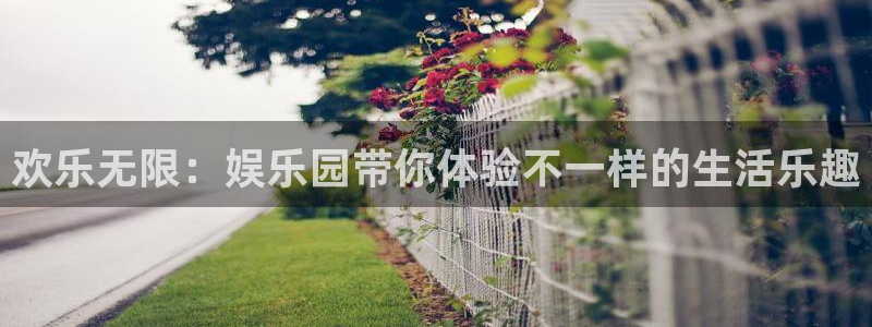 先锋娱乐平台：欢乐无限：娱乐园带你体验不一样的生活乐趣