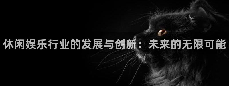 先锋娱乐公司：休闲娱乐行业的发展与创新：未来的无限可能